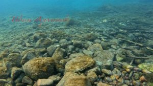 Съемка под водой , пробная