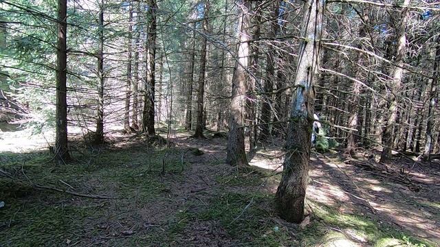 Me vs Wild - Construction d'un tipi naturel et nuit seul en forêt смотреть онлайн