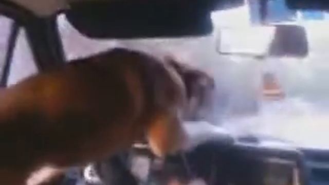 Штрудель за рулем смотреть онлайн