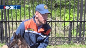 Кто такие спасатели