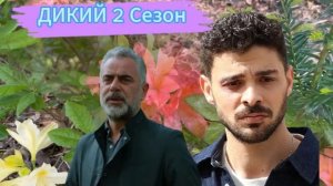 ДИКИЙ 2 СЕЗОН 1 СЕРИЯ (37 серия) Yabani 37. Bölüm. Дата выхода. Обзор