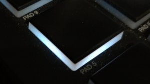 Stevie Ray Vaughan & Double Trouble - Mary Had a  Little Lamb - MPC cover