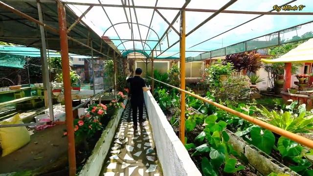 Breathtaking Family resort with Farm Plus a Big Swimming Pool near in all tourist attraction #resor смотреть онлайн