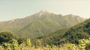 Почему болеют дети? Болезнь и комфорт