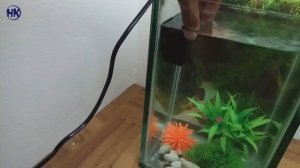 Submersible Pump Recent AA1000 | Unboxing and Testing