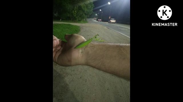 Тупые мемные картинки смотреть онлайн