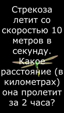 Уметь всем!!! Задача про стрекозу и километры. Похожая задача есть в ВПР