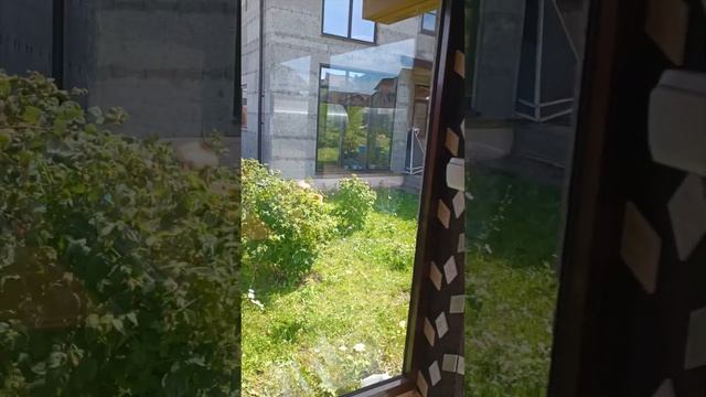 Остекление мангальной зоны #shotrs