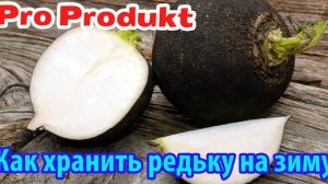 Как хранить редьку на зиму