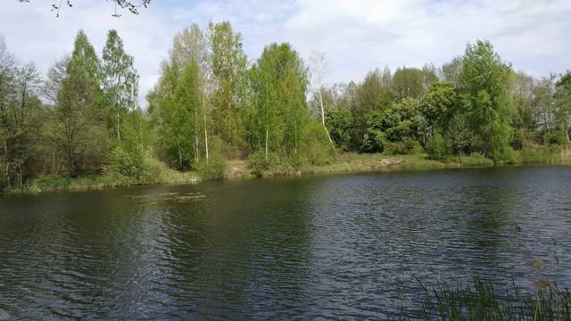 Через образы решается всё