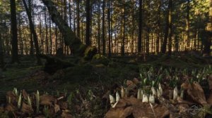 Клип на песню "Подруге"