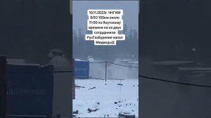 медведь напал на людей