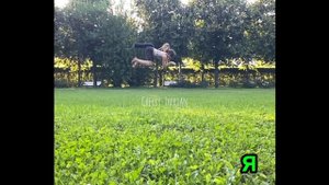 🌿🌱🍀~квадробика~🍀🌱🌿