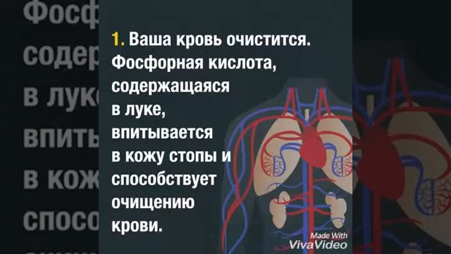 Полезней функции лука смотреть онлайн