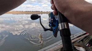 Вобла река КИГАЧ 2024. Астрахань рыбалка)