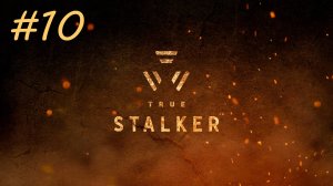 [PC] True Stalker | Прохождение | #10