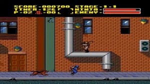 Ninja Ryuuken Den | HD | TURBOGRAFX 16 | MEDNAFEN EMULATOR