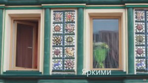 Московские окна. Рыбаулина