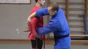 БОЛЕВЫЕ ПРИЕМЫ ЗАДЕРЖАНИЯ И СОПРОВОЖДЕНИЯ