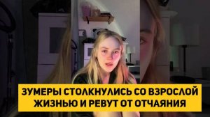 Зумеры столкнулись со взрослой жизнью и ревут от отчаяния