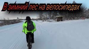 в зимний лес на велосипеде