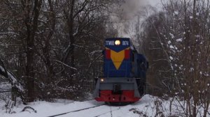 ТГМ6А-2456 и ТГМ6В-0074 / TGM6A-2456 and TGM6V-0074 diesel locomotives