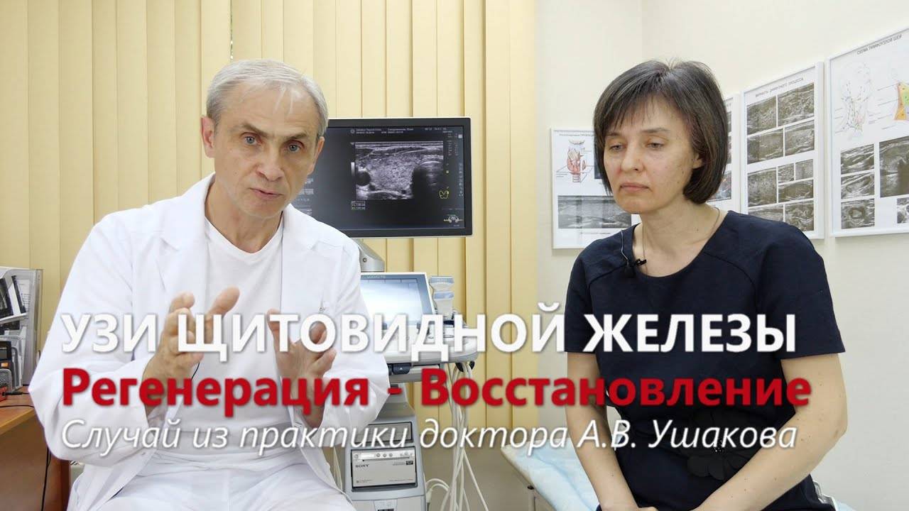 УЗИ щитовидной железы: Лечение и признаки восстановления (регенерации) щитовидной.  Доктор Ушаков