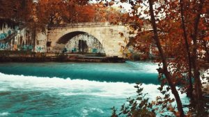 Чтобы опозорить бедную невесту сына, богач позвал её на важные переговоры. А едва она прочла догово