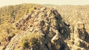 Вперед, на свободу из курятника! Волнующие афонские напевы: "От юности моея"