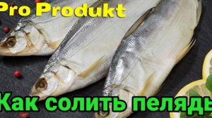 Как солить пелядь очень вкусно и быстро