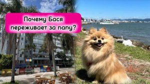 Почему Бася переживает за папу?