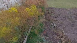 Утилизация органических отходов. Компостная яма. Супер удобрение.