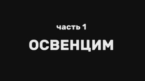 Холокост: Освенцим