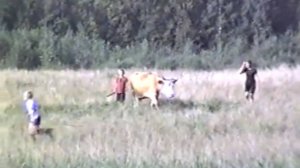 Маленькие пастухи. - Little shepherds