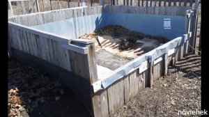 В чём содержать червя?  Дендробена.  Нужен ли мел в субстрате?