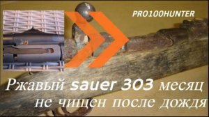 Ржавый Sauer 303