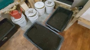 Просейка червя. Сепаратор. Отзыв.