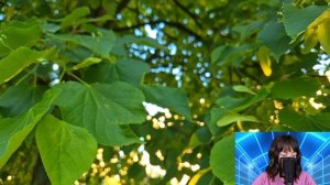 - Не позорь меня перед гостями - невестка застыла от слов свекрови и решив ей назло стать успешной.