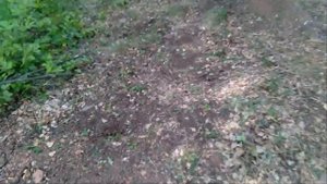 ТОННЫ МЕТАЛА,КОПАЕМ УЗКОКОЛЕЕЧНЫЕ РЕЛЬСЫ часть 2.