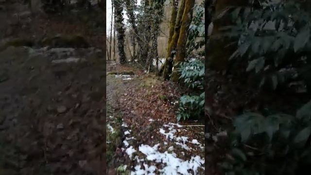 медвежий угол, по дороге на красную поляну смотреть онлайн