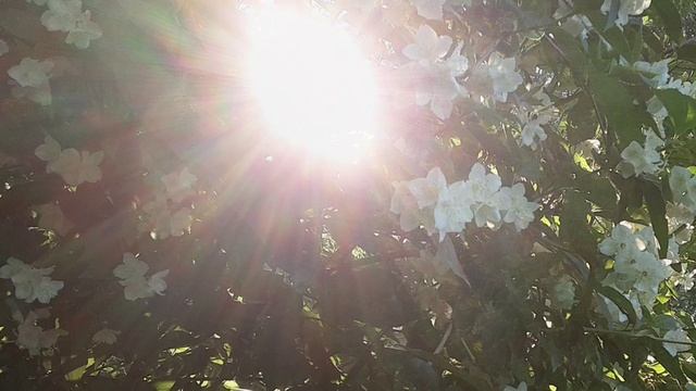 Город золотой.mp4 смотреть онлайн