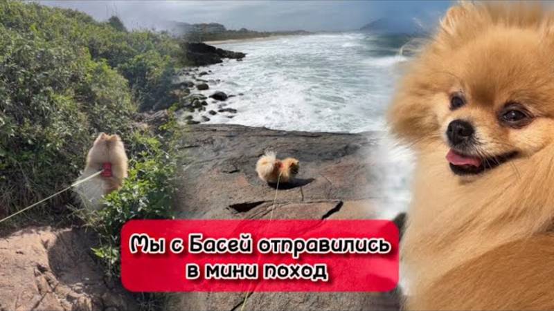 Мы с Басей отправились в мини поход!