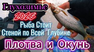 РЫБА СТОИТ СТЕНОЙ ПО ВСЕЙ ГЛУБИНЕ ОКУНЬ ПЛОТВА ЛЕЩ УКЛЕЙКА ЩУКА ЛОВИЛ НА БАЛАНСИРЫ МОТЫЛЯ БОЛТУХУ