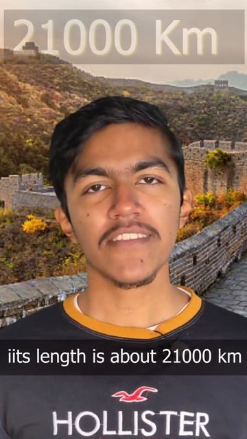 GREAT WALL OF CHINA FACTS #shorts #viralvideo #facts #factshorts смотреть онлайн