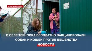 Севастопольская ветеринарная служба проводит бесплатную вакцинацию собак и кошек против бешенства