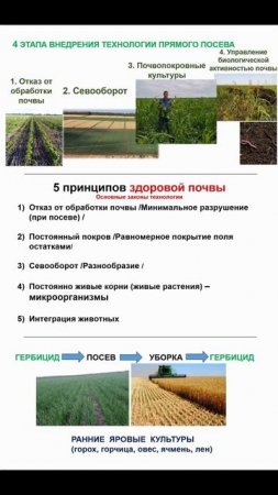 Школа No-Till. Для кого? О чём? Какой результат?