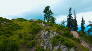 Ze Afghan Yem | Pashto New Song 2022 | Latif Nangarhari | Afghan Song | Official Music Video