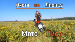 Охота на Лисицу / Мото Лиса