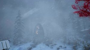 СУРОВАЯ АРКТИЧЕСКАЯ ЗИМА по ночам с ЭКСТРЕМАЛЬНЫМИ ХОЛОДАМИ и снежными бурями, мешающими спать