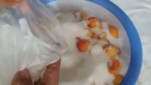 o'rikdan qiyom tayorlash